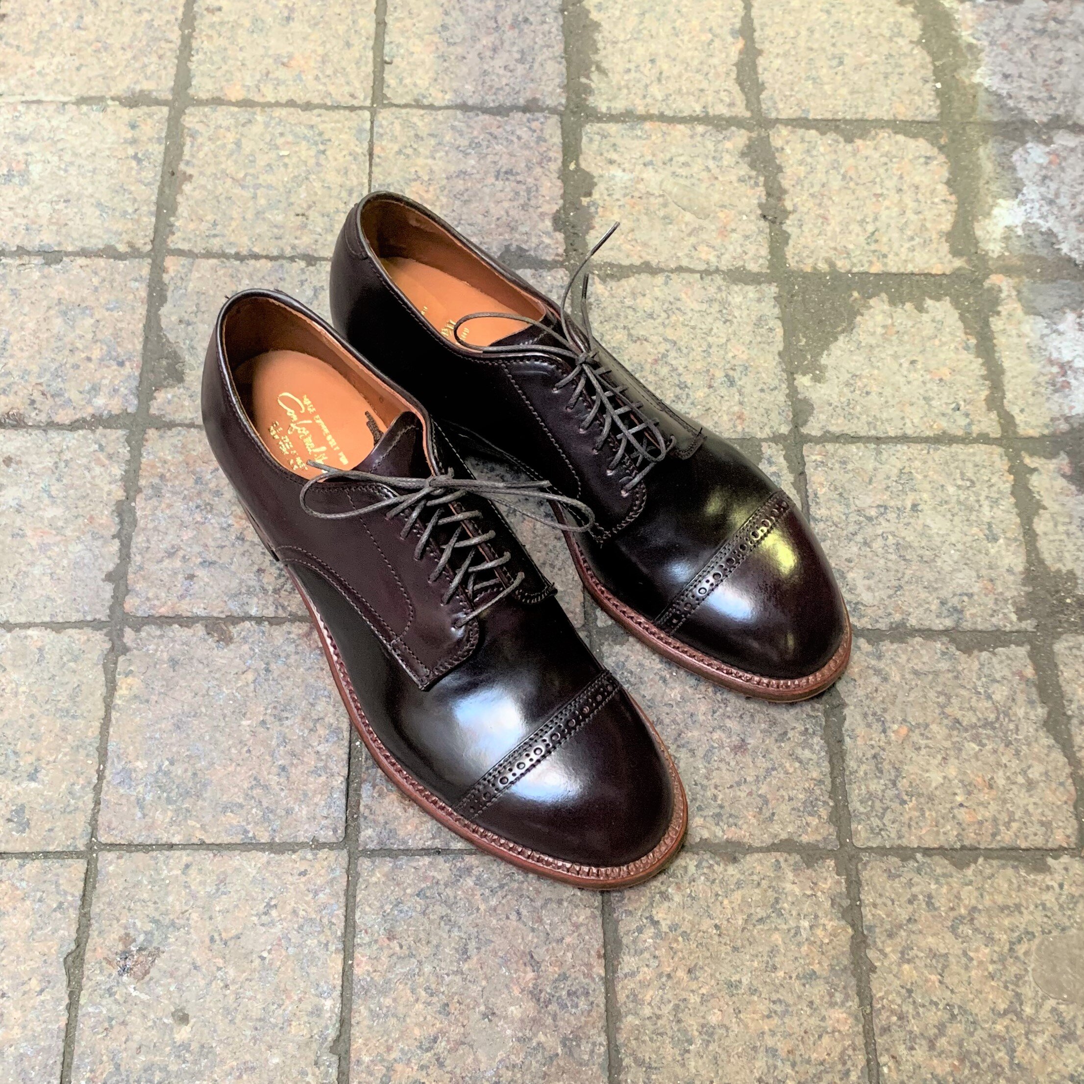 D9521 Color #8 Shell — mouldedshoe D9521 Color #8 Shell — mouldedshoe